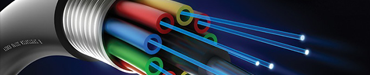 Coil: 48VDC